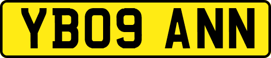 YB09ANN