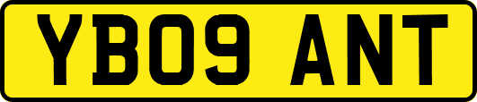 YB09ANT