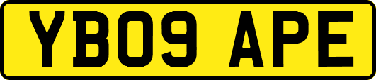 YB09APE