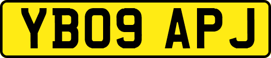 YB09APJ