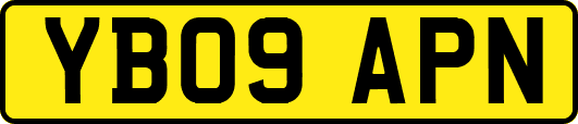 YB09APN