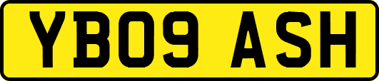 YB09ASH