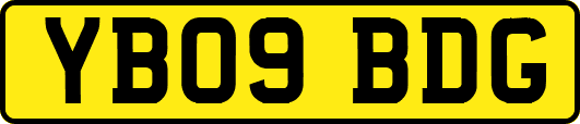 YB09BDG