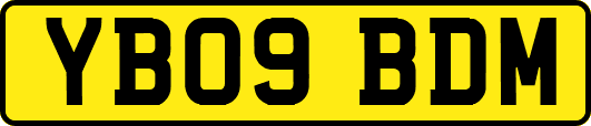 YB09BDM