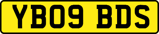 YB09BDS