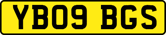 YB09BGS