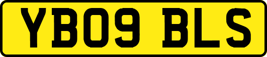 YB09BLS