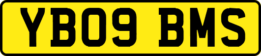 YB09BMS