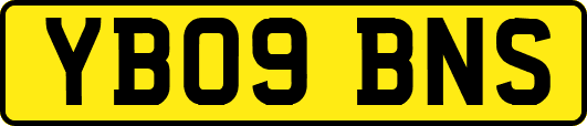 YB09BNS