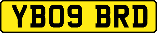 YB09BRD