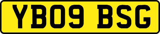 YB09BSG