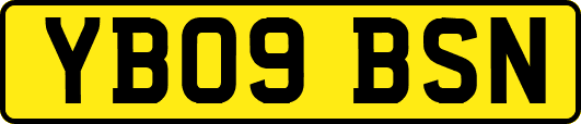 YB09BSN