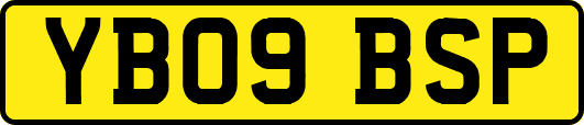 YB09BSP