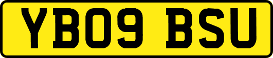 YB09BSU