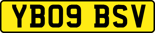 YB09BSV