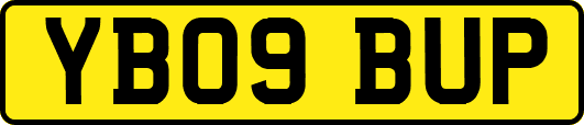 YB09BUP