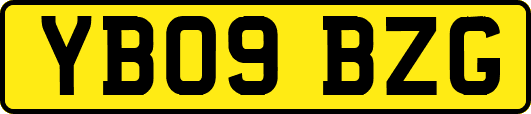 YB09BZG
