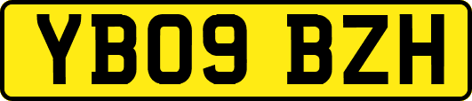 YB09BZH