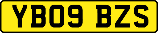 YB09BZS