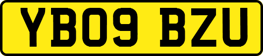 YB09BZU