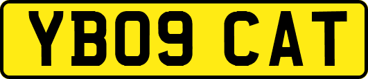YB09CAT