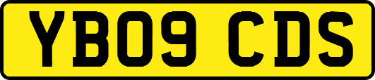 YB09CDS