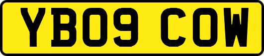 YB09COW