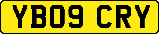 YB09CRY
