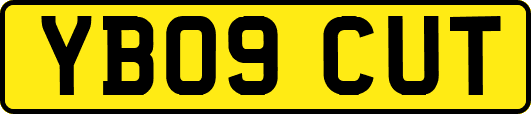 YB09CUT