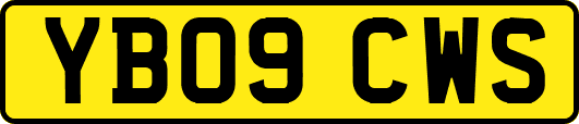 YB09CWS