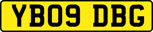 YB09DBG