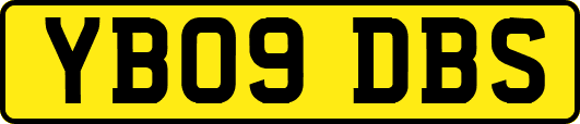 YB09DBS