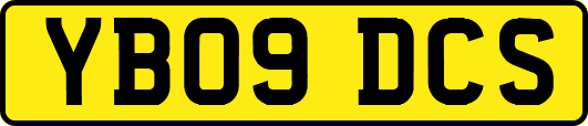 YB09DCS