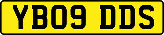 YB09DDS