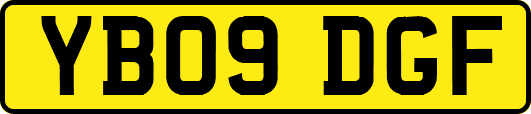 YB09DGF