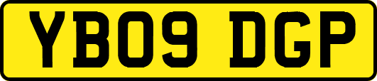 YB09DGP