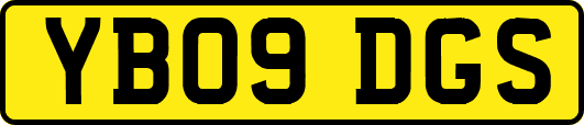 YB09DGS