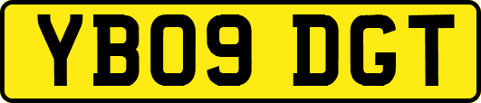 YB09DGT