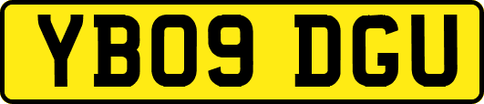YB09DGU