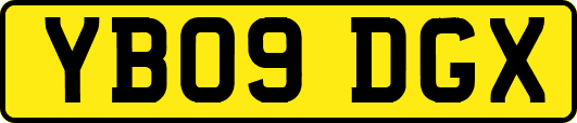 YB09DGX