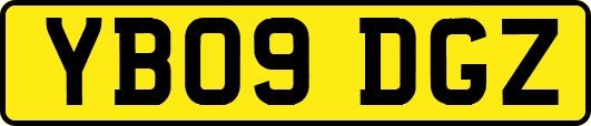 YB09DGZ