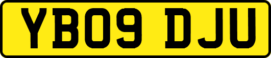 YB09DJU