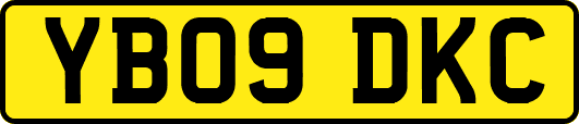 YB09DKC