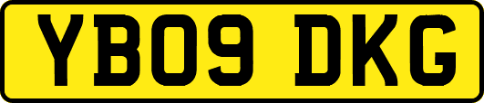 YB09DKG