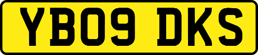 YB09DKS
