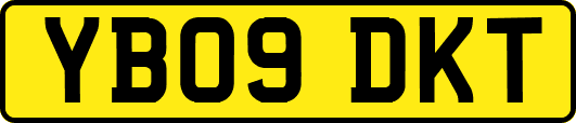 YB09DKT