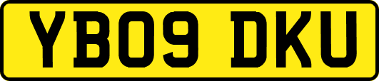 YB09DKU