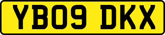 YB09DKX