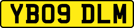 YB09DLM