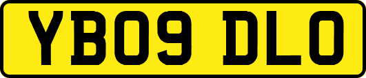 YB09DLO